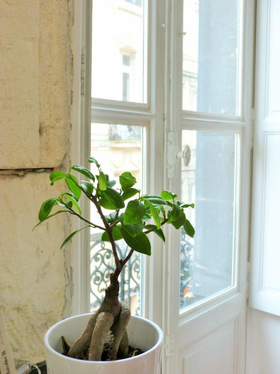 L'Appart D'Oli Et Tiane Bordeaux Szoba fotó